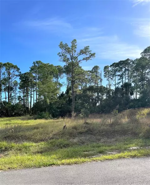lot15 Red Hawk Ln, Port St. Joe, FL 32456