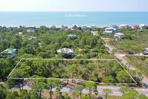 1600 Guava Trl, Saint George Island, FL 32328