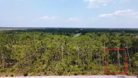 lot14 Treys Ln, Wewahitchka, FL 32465