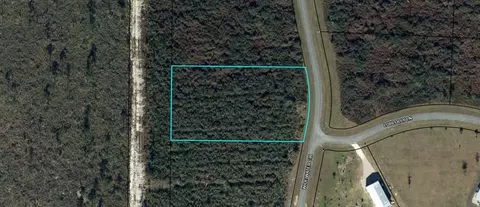 lot100 Wide Water Cir, Wewahitchka, FL 32465