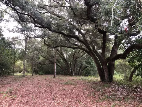 2517 Palmetto Ter, Lanark Village, FL 32323