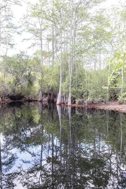 1999 Lighthouse Rd, Carrabelle, FL 32322 photo 30