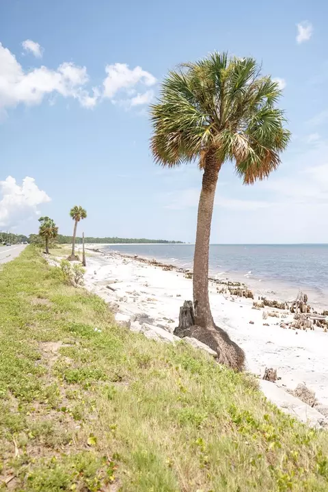 1999 Lighthouse Rd, Carrabelle, FL 32322 photo 6