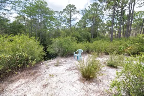 1999 Lighthouse Rd, Carrabelle, FL 32322 photo 28