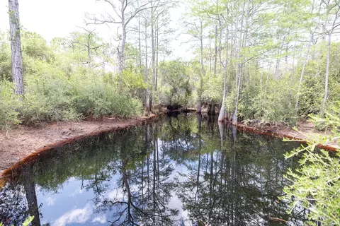 1999 Lighthouse Rd, Carrabelle, FL 32322 photo 29