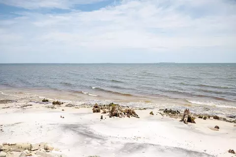 1999 Lighthouse Rd, Carrabelle, FL 32322 photo 32