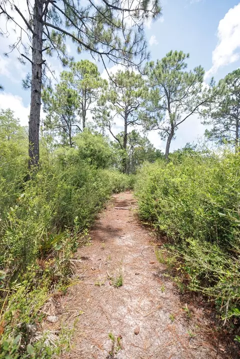 1999 Lighthouse Rd, Carrabelle, FL 32322 photo 27