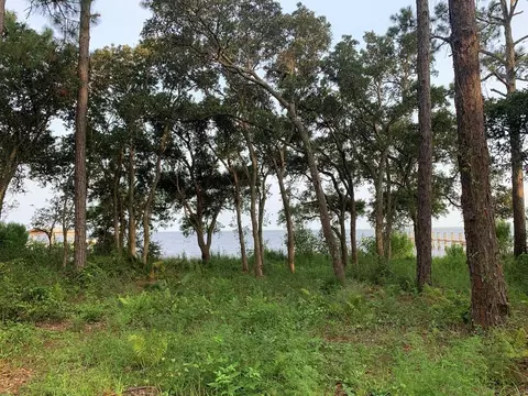 2482 Hwy 98, Carrabelle, FL 32322
