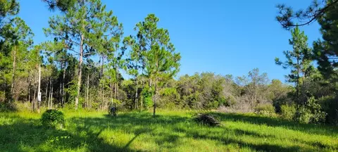 184 Quail Run Dr, Carrabelle, FL 32322