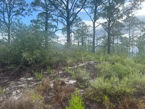 106 Anglers Rd, Carrabelle, FL 32322
