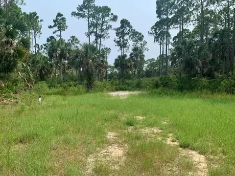 lot1 Cr 30-a, Port St. Joe, FL 32456