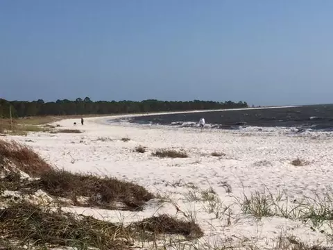 134 Shell Bay Ct, Carrabelle, FL 32322 photo 6