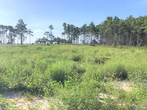 134 Shell Bay Ct, Carrabelle, FL 32322 photo 1