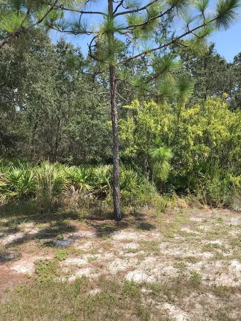 114 Anhinga Trl, Carrabelle, FL 32322 photo 1