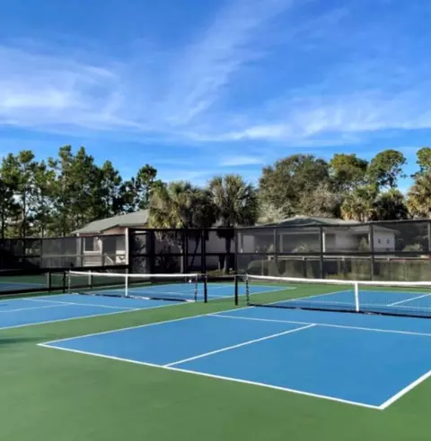 113 Spoonbill Ct, Carrabelle, FL 32322 photo 2