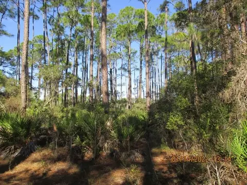 43 Mullet Pond Cir, Alligator Point, FL 32346