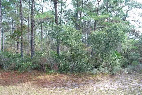 143 Kal Ln, Carrabelle, FL 32322 photo 2