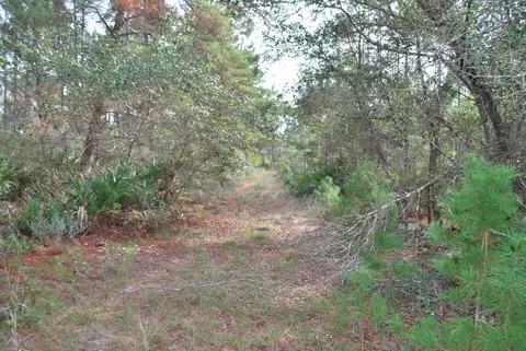 143 Kal Ln, Carrabelle, FL 32322 photo 4