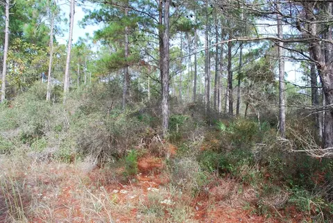 143 Kal Ln, Carrabelle, FL 32322 photo 8