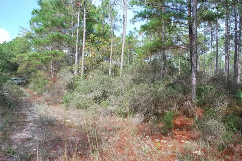143 Kal Ln, Carrabelle, FL 32322 photo 9