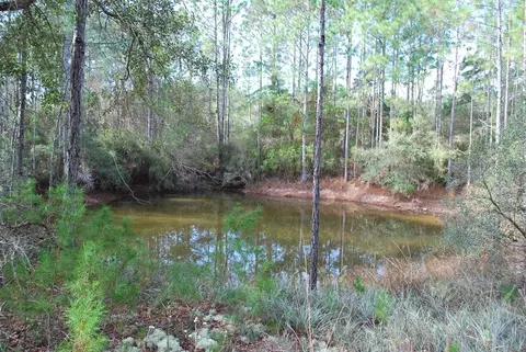 143 Kal Ln, Carrabelle, FL 32322 photo 7