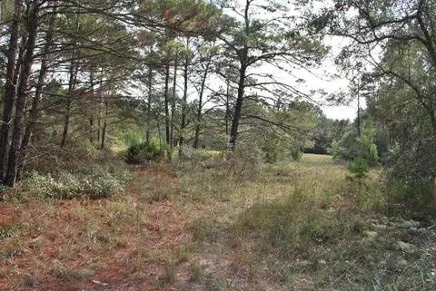 143 Kal Ln, Carrabelle, FL 32322 photo 6