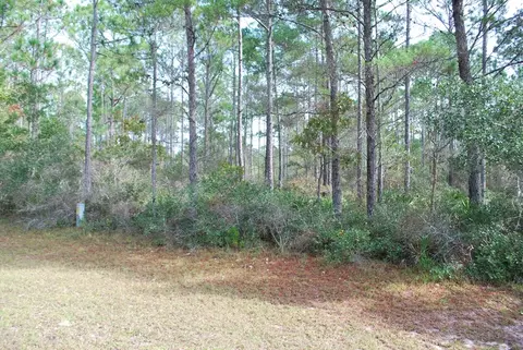 143 Kal Ln, Carrabelle, FL 32322 photo 3