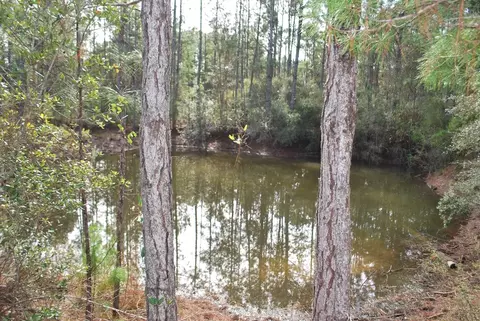 143 Kal Ln, Carrabelle, FL 32322 photo 5