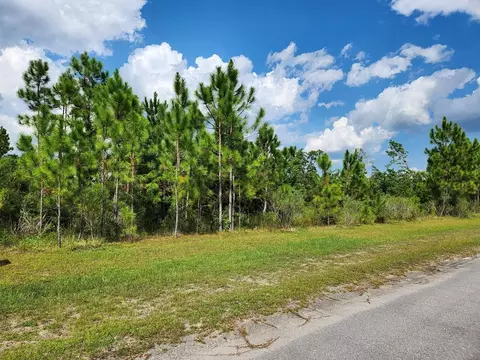 lot136 Torrey Pine Trl, Wewahitchka, FL 32465