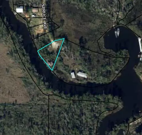 491 Spruce Ave, Wewahitchka, FL 32465