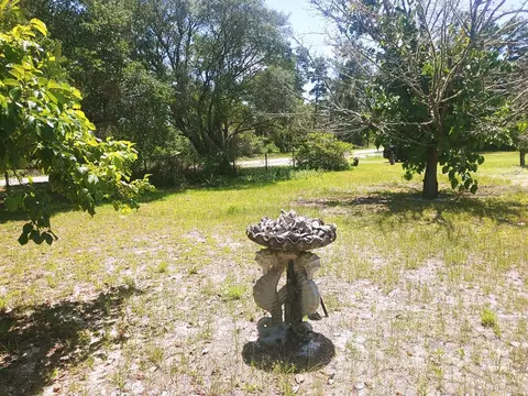 1847 Lighthouse Rd, Carrabelle, FL 32322 photo 28
