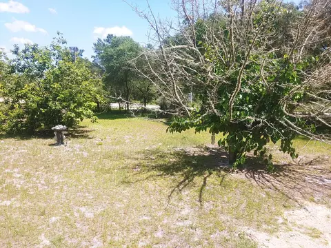 1847 Lighthouse Rd, Carrabelle, FL 32322 photo 50