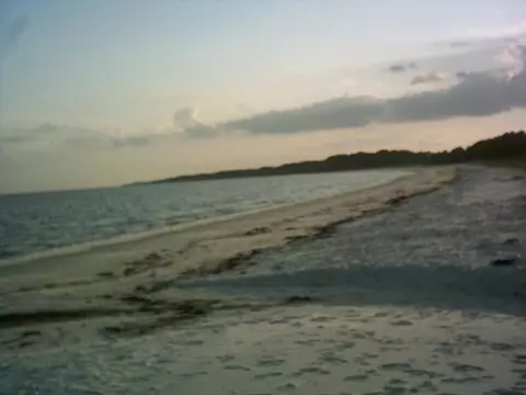 1847 Lighthouse Rd, Carrabelle, FL 32322 photo 57