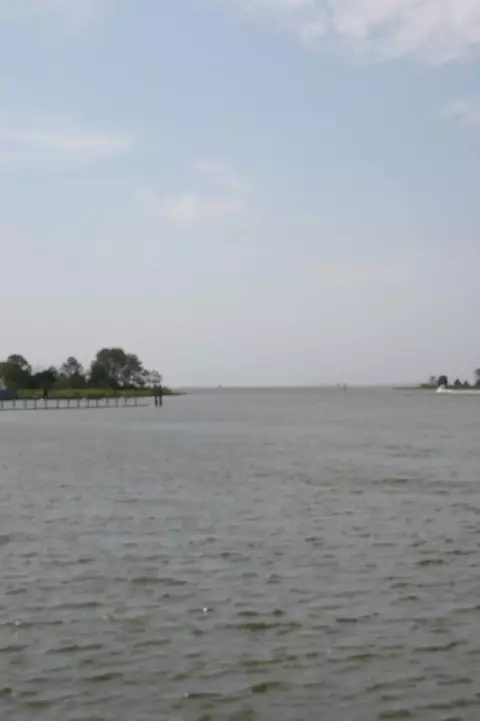 1847 Lighthouse Rd, Carrabelle, FL 32322 photo 64