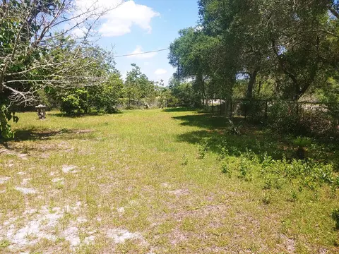 1847 Lighthouse Rd, Carrabelle, FL 32322 photo 29