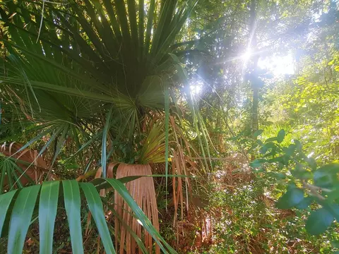 tbd 20th Ave, Apalachicola, FL 32320