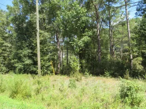 0000 Trebor Ln, Sopchoppy, FL 32358