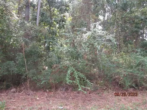 2640 Hwy 98 E, Carrabelle, FL 32322 photo 3