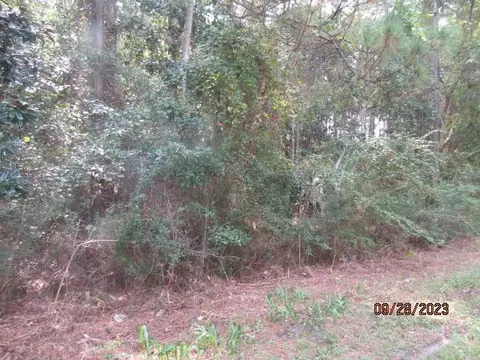 2640 Hwy 98 E, Carrabelle, FL 32322 photo 2