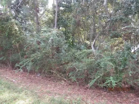 2640 Hwy 98 E, Carrabelle, FL 32322 photo 4