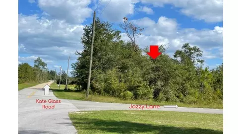 102 Jazzy Ln, Wewahitchka, FL 32465