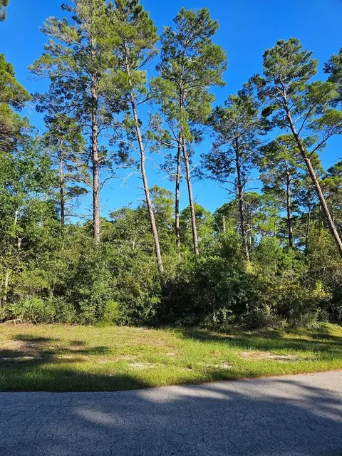 1008 Sunset Cir, Carrabelle, FL 32322 photo 3