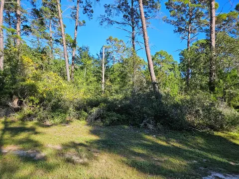 1008 Sunset Cir, Carrabelle, FL 32322 photo 2