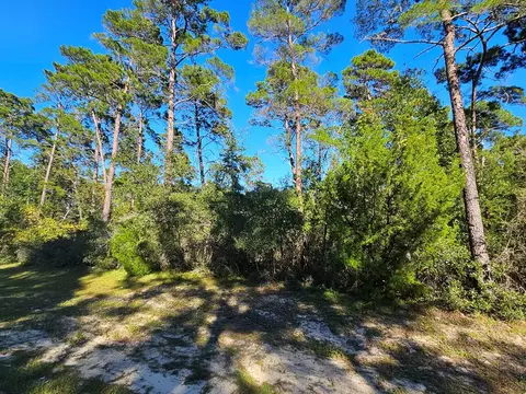 1008 Sunset Cir, Carrabelle, FL 32322 photo 5