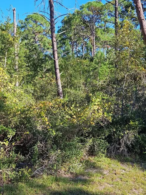 1008 Sunset Cir, Carrabelle, FL 32322 photo 4