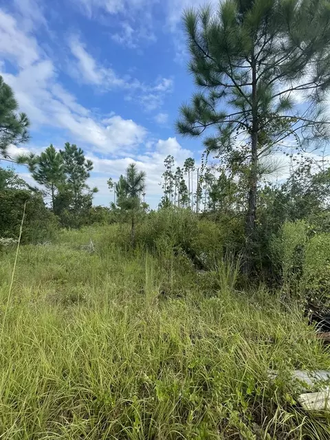 115 Chapel Ln, Overstreet, FL 32456
