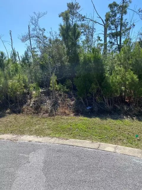 lot13 Gulf Terrace Ln, Port St. Joe, FL 32456