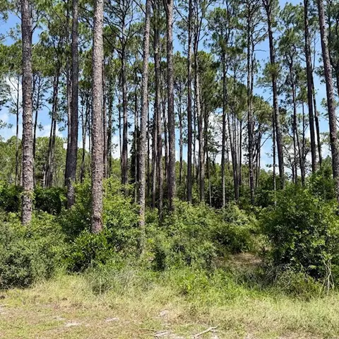 3471 Firefly Cir, Carrabelle, FL 32358