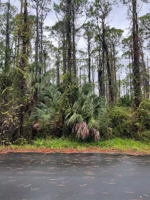 541 E Pine Ave, Saint George Island, FL 32328 photo 3