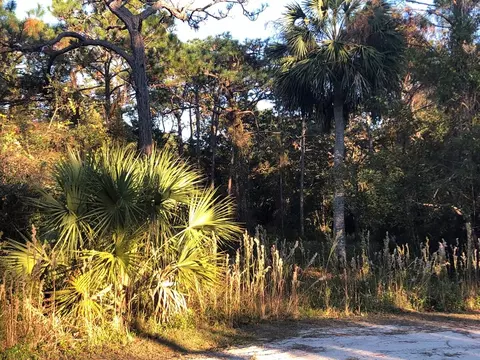 135 Craig St, Carrabelle, FL 32322 photo 2